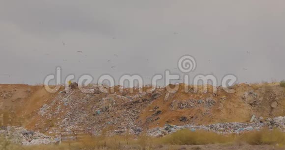 垃圾填埋对自然的污染垃圾填埋场上空的海鸥视频的预览图