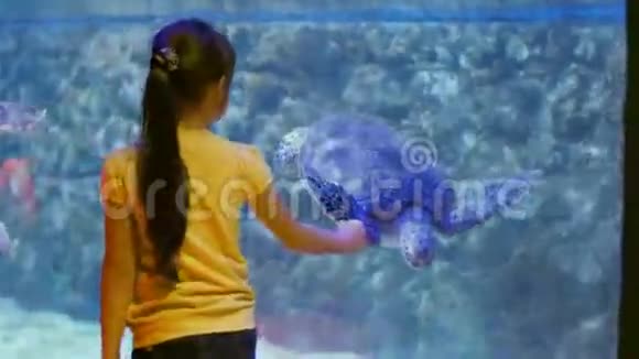 小女孩和乌龟的友谊儿童对水下世界及其居民的印象视频的预览图
