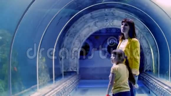 埃及胡尔加达水族馆水下隧道一个迷人的水下世界和现代技术视频的预览图