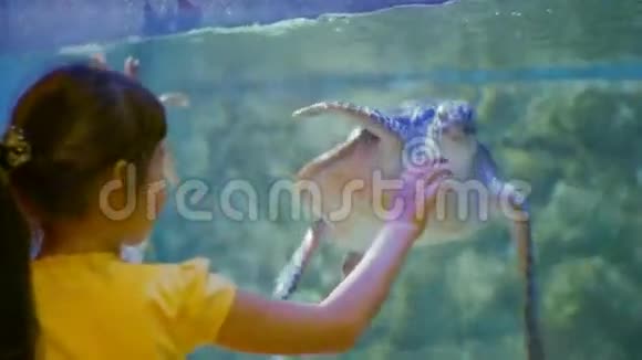 小女孩和乌龟的友谊儿童对水下世界及其居民的印象视频的预览图