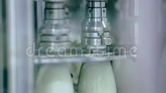 牛奶放在传送带上的塑料瓶里奶业奶厂视频的预览图