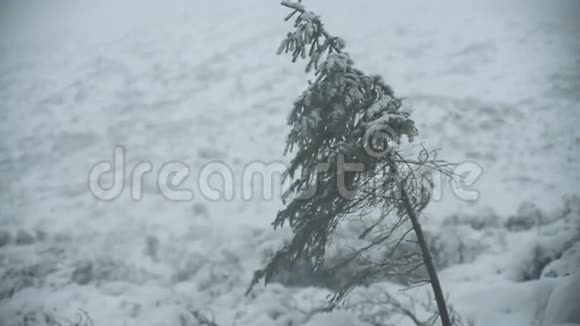 这冬天下雪的山景视频的预览图