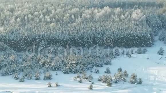 鸟瞰冬林雪树枝中看冬林冬季景观森林树木覆盖视频的预览图