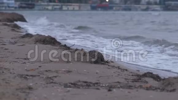 日落时海滩上的堪卡海藻视频的预览图