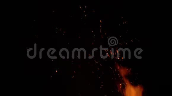 在被树枝包围的黑色背景上燃烧篝火关门视频的预览图