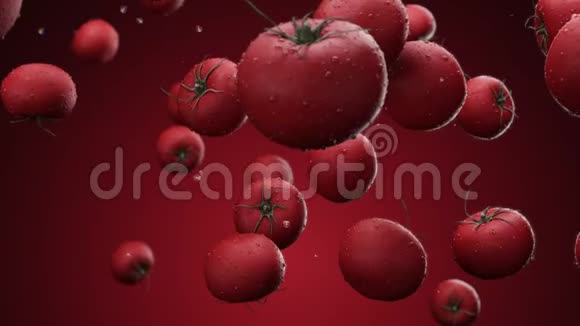 落在红色背景上有水滴的西红柿视频的预览图