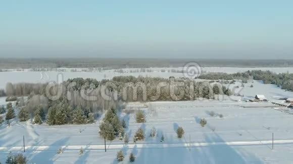 鸟瞰冬林雪树枝中看冬林冬季景观森林树木覆盖视频的预览图