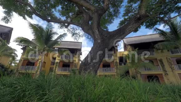 热带度假胜地的酒店和树木视频的预览图