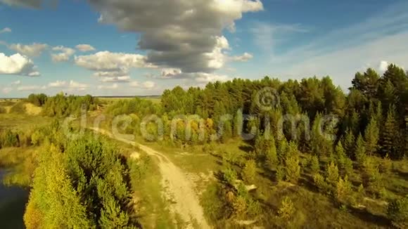 夏季草原的乡村道路针叶林视频的预览图