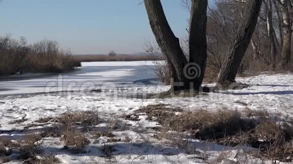 湖郊冬季景观冰冻日全景水平布线视频的预览图
