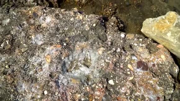 地中海岩石海岸小溪中的盐分沉积视频的预览图