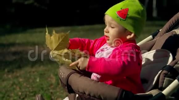 小女孩坐在婴儿车里玩黄色的枫叶视频的预览图