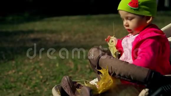 小女孩坐在婴儿车里玩黄色的枫叶视频的预览图