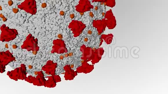 动画冠状病毒模型Covid19病毒警告三维渲染视频的预览图