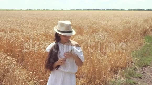 穿白衣服的女人站在田里手里拿着麦穗视频的预览图