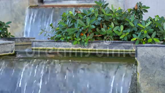 禅宗花园瀑布视频的预览图