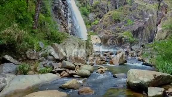 从瀑布到山河的雄鹿视频的预览图