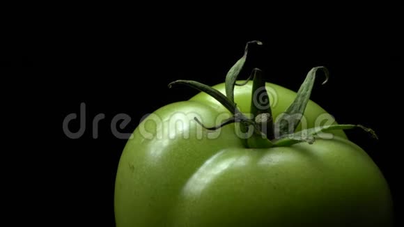 新鲜的绿色番茄视频的预览图