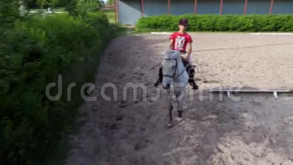 夏天户外骑童骑骑师骑着纯种的美丽的白种马马在训练沙场视频的预览图