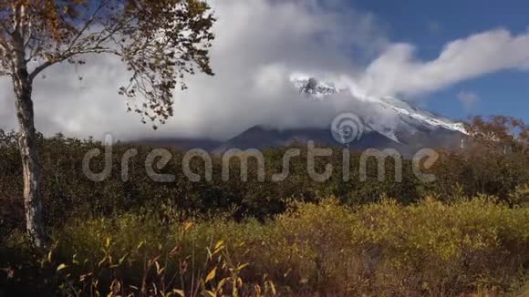 美丽的秋山景观锥火山黄橙色森林视频的预览图