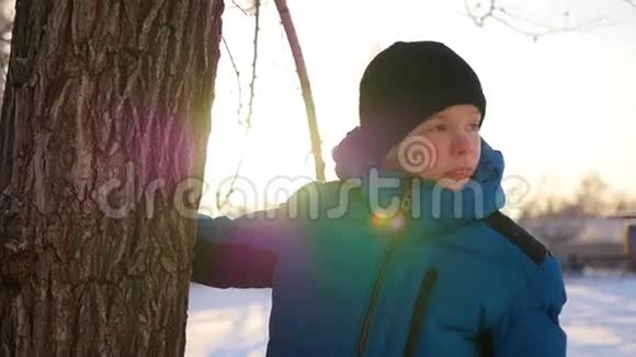 快乐的男孩站在树旁在晴朗的冬日微笑视频的预览图