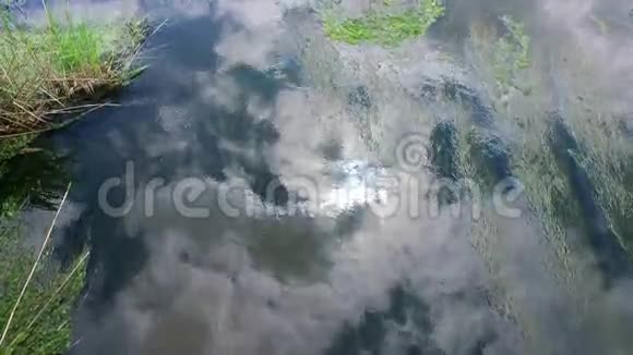 河流顺利拍摄视频的预览图