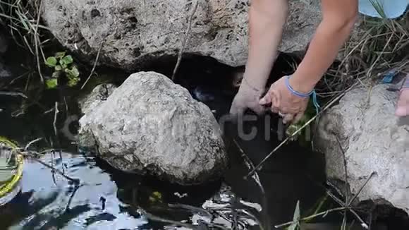 救人被困在浅水中的石头之间视频的预览图