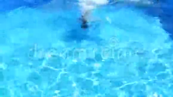 这个孩子正在游泳池的碧水里游泳从上面看女孩潜入水中视频的预览图
