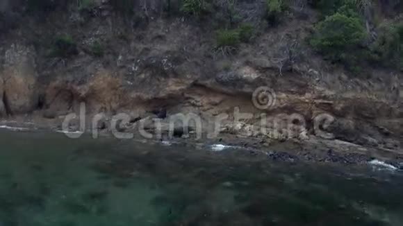 新西兰清澈的海水背景下海岸上的毛皮海豹视频的预览图