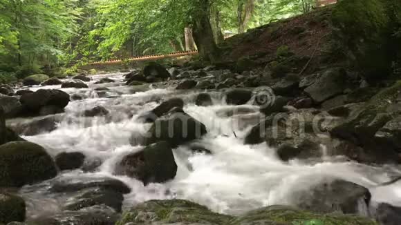 山河在绿林中视频的预览图