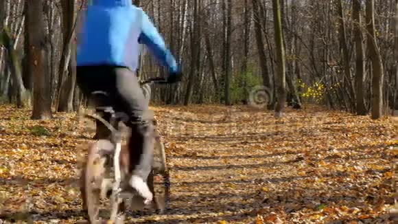 骑自行车在公园里的人黄色的秋天视频的预览图