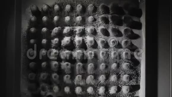 金属刨花的变形模式视频的预览图