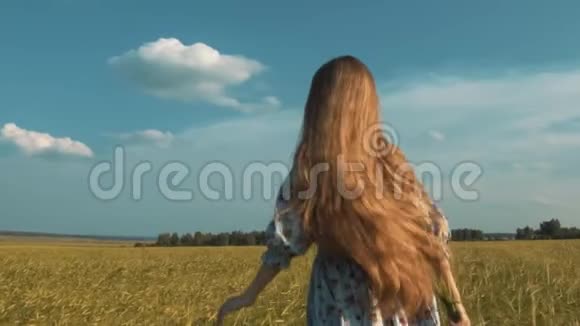 美丽浪漫女孩户外美丽的少女模特穿着休闲短装在阳光下的田野上吹弹视频的预览图