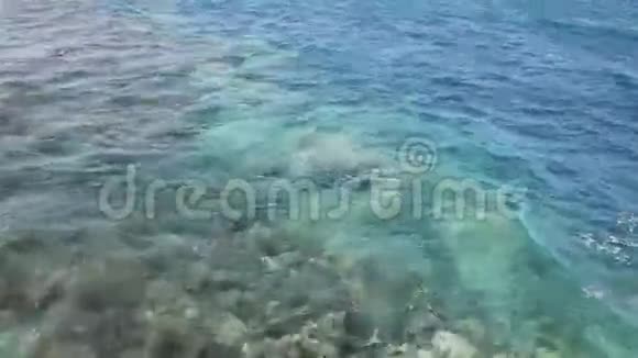 珊瑚礁上方红海水域的自然背景视频的预览图