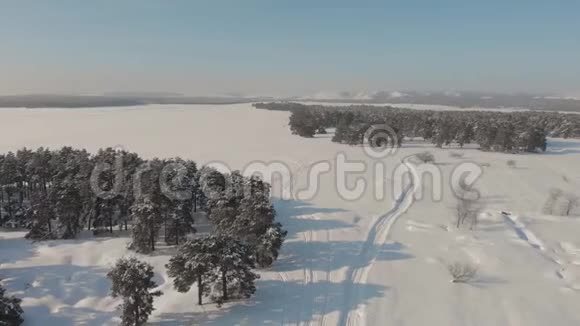 冬季鸟瞰积雪云杉林低飞空中拍摄的大松林覆盖着冬天的雪视频的预览图