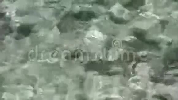 碧波荡漾的海水的天然背景视频的预览图