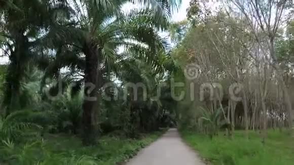 通过热带森林行动摄像机拍摄的前方道路景观视频的预览图