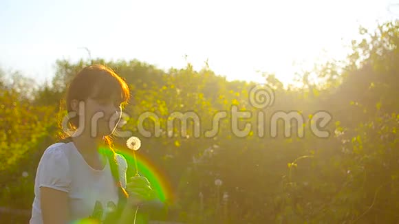蒲公英的种子在阳光下飞舞女孩吹在一朵蒲公英上在春天的公园里休息视频的预览图