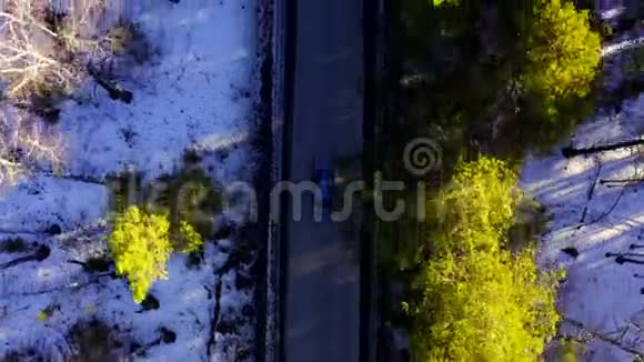 在树林间的森林道路上乘坐的汽车的鸟瞰图视频的预览图