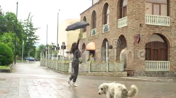 年轻女子在雨中和狗一起胡闹视频的预览图