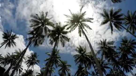 时光流逝在蓝色太阳的背景下棕榈树的底部景色是移动的白云视频的预览图