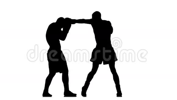 意甲在训练中打了两个拳击手剪影视频的预览图