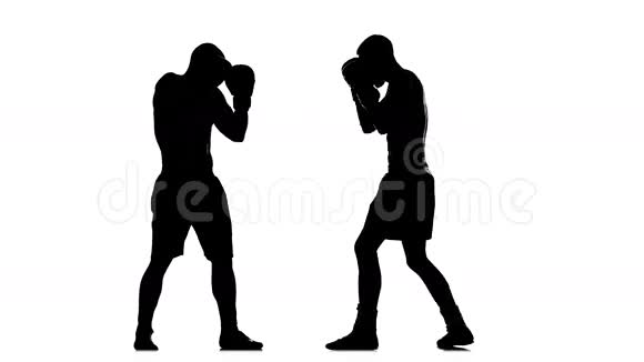 两人剪影运动员比赛拳击戴着手套视频的预览图