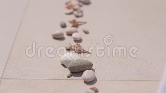 一排排的海洋卵石和贝壳视频的预览图