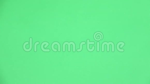 马达加斯加蟑螂爬行绿色屏幕从上面看慢动作视频的预览图