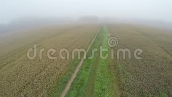薄雾般的夏日清晨田野和乡村道路空中景色视频的预览图
