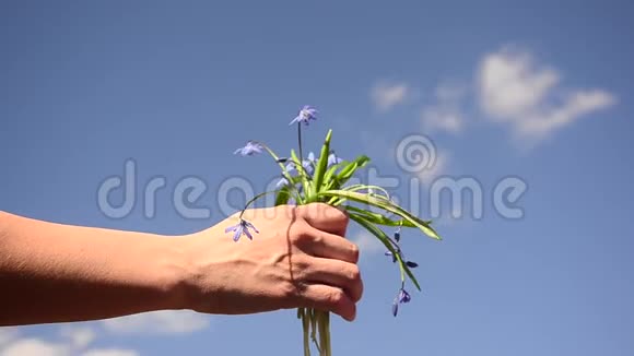 母亲在蓝蓝的天空背景上给孩子美丽的蓝色花朵在蓝蓝的背景上给孩子春天的花朵视频的预览图