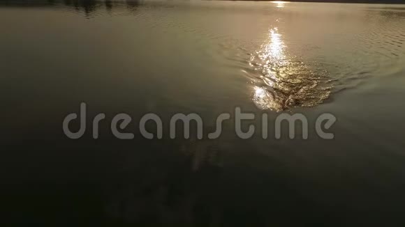 空中拍摄一个风景如画的湖和一个人在日落时爬行视频的预览图