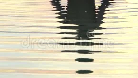在夕阳西下的湖水中看到一个年轻人的倒影视频的预览图
