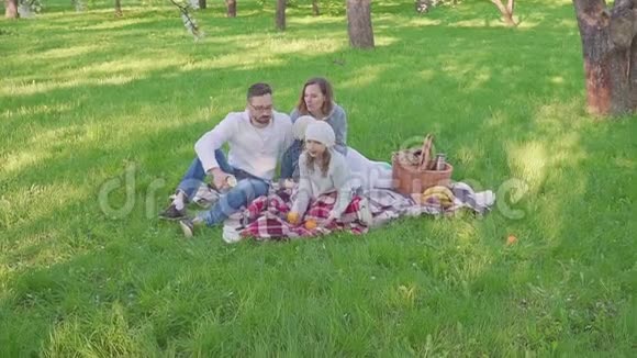 在公园野餐时一家人坐在草地上都吃早餐有一个带餐的篮子新鲜视频的预览图